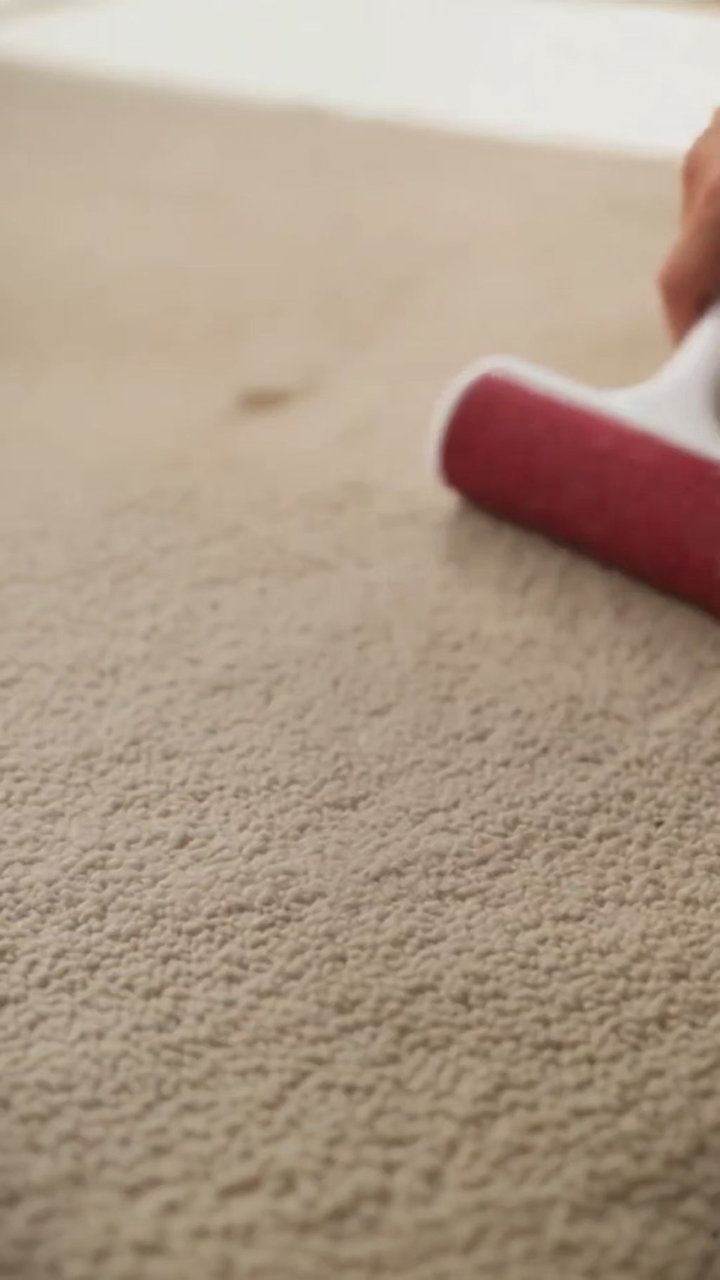 Furbee™ Pet Hair Remover